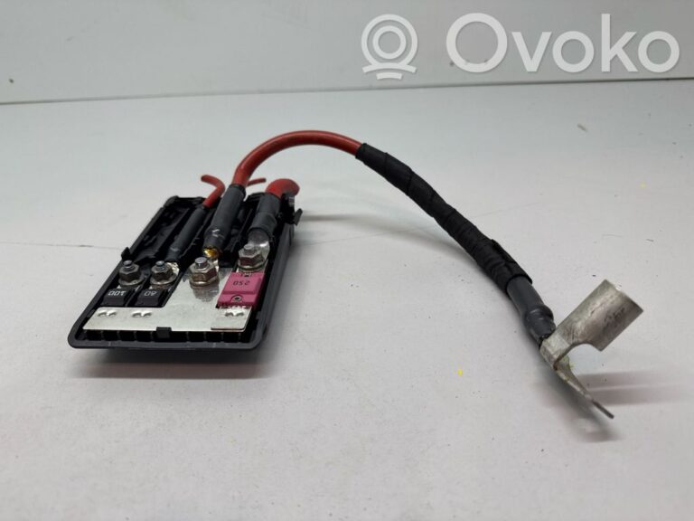 04b053f674b4d50083ab2ccf261b99b8-1d044f126f6211a4da4d0b0afdea40eb_positive_wiring_loom