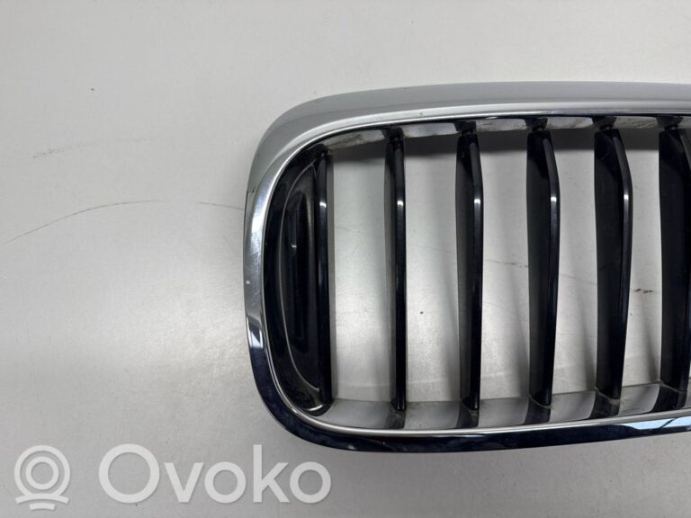 145a5a1d1b420a06ec85da070ccb8d61-d5c99d9046f08304a47a3004284e0430_front_grill
