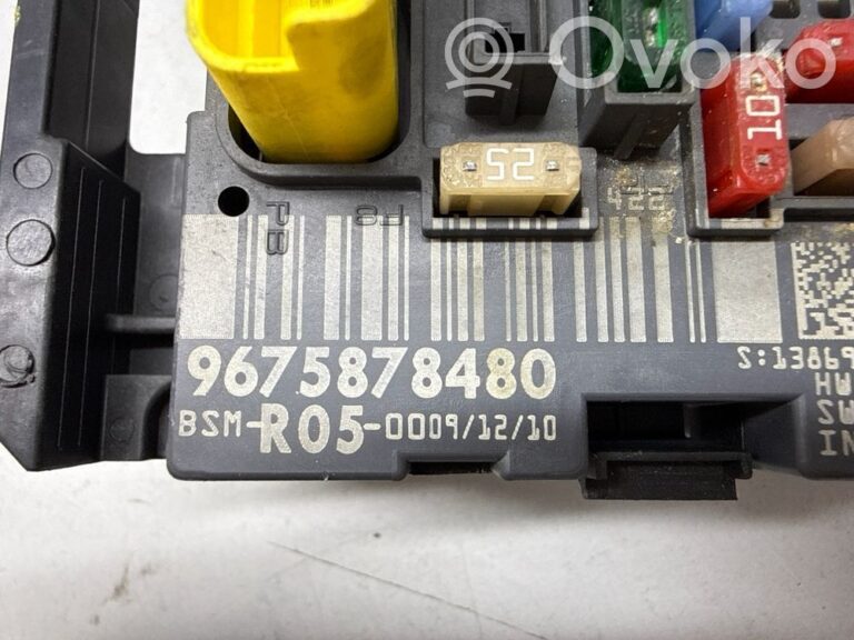 904bc749189b3bd610396f74e124a0ef-6553874be79f400969c145db38a619a4_bsm_control_unit