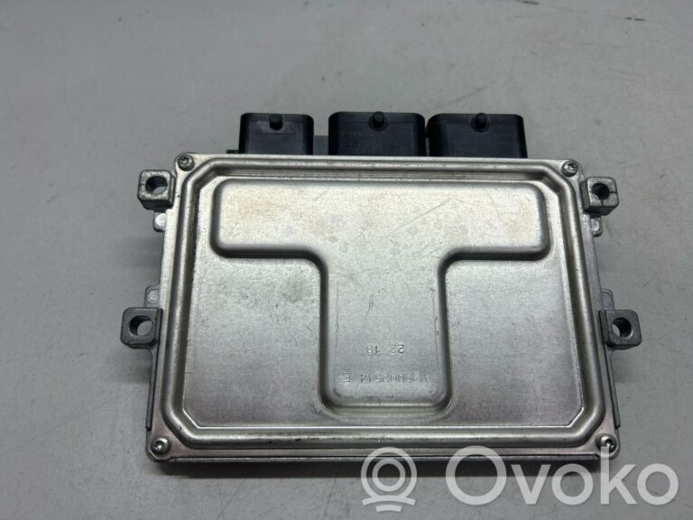 955af5c2715ee8e11354ba7182d2a0e4-908c07cd9796c068b94b76cd112b31b6_engine_control_unit_module